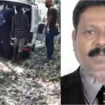 മേപ്പാടിയില്‍ പുലിയിറങ്ങി; വീടുകള്‍ക്കുള്ളില്‍ കയറാന്‍ ശ്രമം; ദൃശ്യങ്ങള്‍ പുറത്ത്