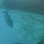 കേന്ദ്ര അവഗണനക്കെതിരെ കേരളത്തിൻ്റെ പ്രതിഷേധം; കുന്ദമംഗലത്ത് ബഹുജന സദസ്സ് നടത്തി