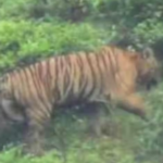 ജാര്‍ഖണ്ഡ് മുഖ്യമന്ത്രിയായിരുന്ന ഹേമന്ത് സോറന്റെ ഇഡി അറസ്റ്റ്;കേന്ദ്ര ഏജൻസികൾക്കെതിരെ രൂക്ഷ വിമര്‍ശനവുമായി രാഹുൽ ഗാന്ധി