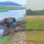 ‘കഴിയുന്നില്ലെങ്കില്‍ രാജിവെച്ച് ഇറങ്ങിപോകണം’; സര്‍ക്കാരിനെതിരെ തുറന്നടിച്ച് താമരശ്ശേരി രൂപത ബിഷപ്പ്