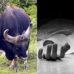 ഡല്‍ഹി ചലോ മാര്‍ച്ച് ഇന്ന് പുനരാരംഭിക്കും; അതിര്‍ത്തികളില്‍ സുരക്ഷ ഒരുക്കി പോലീസ്