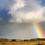 കാസര്‍ഗോഡ് റിയാസ് മൗലവി വധത്തില്‍ വിധി ഇന്ന്