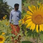 മരുമകളെ കഴുത്തറുത്ത് കൊന്ന് ഭര്‍തൃപിതാവ് ജീവനൊടുക്കി