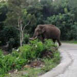 കണ്ണൂരില്‍ ഒരാള്‍ക്ക് സൂര്യാഘാതമേറ്റു; ഇരുകാലുകള്‍ക്കും പൊള്ളലേറ്റു