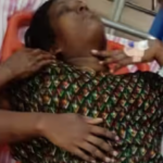 കലാമണ്ഡലം സത്യഭാമയുടെ വിവാദ പരാമർശത്തിനെതിരെ മനുഷ്യാവകാശ കമ്മീഷൻ സ്വമേധയാ കേസെടുത്തു