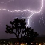 ബോംബ് നിര്‍മാണം ലോക്സഭാ തെരഞ്ഞെടുപ്പ് ലക്ഷ്യമിട്ട്; പാനൂര്‍ കേസില്‍ സിപിഐഎമ്മിനെ പ്രതിരോധത്തിലാക്കി റിമാന്‍ഡ് റിപ്പോര്‍ട്ട്