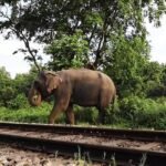 പതഞ്ജലിയുടെ മാപ്പപേക്ഷ സുപ്രീംകോടതി തള്ളി