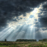 കരുവന്നൂര്‍ സഹകരണ ബാങ്ക് തട്ടിപ്പ്; പ്രതികളില്‍ നിന്നും കണ്ടുകെട്ടിയ തുക നിക്ഷേപകര്‍ക്ക് കൈമാറാമെന്ന് ഇഡി