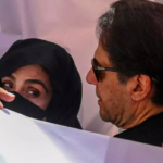 സൈബർ ആക്രമണ പരാതിയിൽ വിശദീകരണവുമായി എൽഡിഎഫ് സ്ഥാനാർത്ഥി കെകെ ശൈലജ