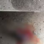 പെരിയാറിൽ മത്സ്യങ്ങൾ ചത്ത്‌ പൊങ്ങിയ സംഭവത്തിൽ പരസ്പരം പഴിചാരി സര്‍ക്കാര്‍ വകുപ്പുകൾ;പരാതി നൽകാൻ ഒരുങ്ങി മത്സ്യ കർഷകർ