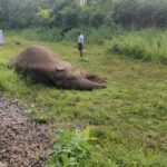 സാങ്കേതിക തകരാര്‍; സുനിത വില്യംസിന്റെ ബഹിരാകാശ യാത്ര മാറ്റിവച്ചു