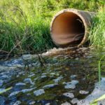 ചെലവൂര്‍ ഉസ്താദ് സി. എം എം ഗുരുക്കള്‍ അനുസ്മര ദിനാചരണവും അവാര്‍ഡ് ദാനവും നടത്തി