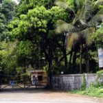 സെപ്റ്റിക് ടാങ്ക് മാലിന്യം തോട്ടിൽ;സംഭവം കോഴിക്കോട് ഒളവണ്ണയിൽ