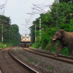 കോഴിക്കോട് എന്‍.ഐ.ടിയിലെ വിദ്യാര്‍ത്ഥി ആത്മഹത്യ; അന്വേഷണം ഊര്‍ജിതമാക്കണം; വെല്‍ഫെയര്‍ പാര്‍ട്ടി