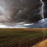 പ്രണയപകയിൽ പൊലിഞ്ഞ വിഷ്ണുപ്രിയ കൊലപാതക കേസിൽ പ്രതി ശ്യാംജിത്തിന് ജീവപര്യന്തം തടവുശിക്ഷ