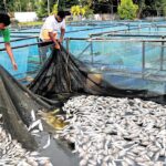 തൃശ്ശൂരില്‍ 330 ഗ്രാം എംഡിഎംഎയുമായി 2 പേര്‍ പിടിയില്‍