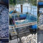 സംസ്ഥാനത്ത് വീണ്ടും മഴ മുന്നറിയിപ്പില്‍ മാറ്റം; ഒന്‍പത് ജില്ലകളില്‍ തീവ്രമഴയ്ക്ക് സാധ്യത