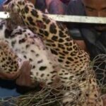 സംസ്ഥാനത്ത് വീണ്ടും മഴ മുന്നറിയിപ്പില്‍ മാറ്റം; ഒന്‍പത് ജില്ലകളില്‍ തീവ്രമഴയ്ക്ക് സാധ്യത