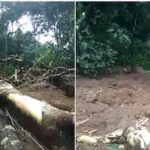 കുന്നംകുളത്ത് സ്വകാര്യ ബസുകൾ കൂട്ടിയിടിച്ച് അപകടം; 13 പേർക്ക് പരിക്ക്