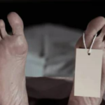 ചൂട് കൂടുന്നു: വളർത്തുമൃഗങ്ങൾക്ക് സ്വീകരിക്കേണ്ട മുന്‍കരുതലുകളുമായി മൃഗസംരക്ഷണ വകുപ്പ്