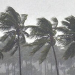 അമീബിക് മസ്തിഷ്‌ക ജ്വരം ബാധിച്ച അഞ്ചുവയസുകാരി മരിച്ചു