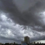 പെരിയാറിൽ മത്സ്യങ്ങൾ ചത്ത്‌ പൊങ്ങിയ സംഭവത്തിൽ പരസ്പരം പഴിചാരി സര്‍ക്കാര്‍ വകുപ്പുകൾ;പരാതി നൽകാൻ ഒരുങ്ങി മത്സ്യ കർഷകർ