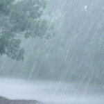 വിഷു ബമ്പര്‍ ഭാഗ്യവാനെ കണ്ടെത്തി