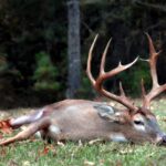 മലബാര്‍ വിദ്യാഭ്യാസ വിവേചനത്തിന്റെ രക്തസാക്ഷിയാണ് ഹാദി റുഷ്ദ : ഫ്രറ്റേണിറ്റി മൂവ്‌മെന്റ്