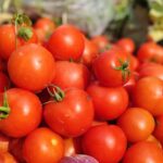 നടന്‍ വിജയ്‌യുടെ അമ്പതാം പിറന്നാളാഘോഷത്തിനിടെ അപകടം; പൊള്ളലേറ്റ് കുട്ടിക്ക് ഗുരുതര പരുക്ക്