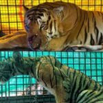 കുന്ദമംഗലം ഗ്രാമപഞ്ചായത്തിലെ രണ്ട് മെമ്പര്‍മാരെ കോടതി അസാധുവാക്കി ;എതിർ സ്ഥാനാർഥികളെ വിജയികളായി പ്രഖ്യാപിച്ചു