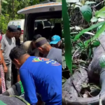 മഴക്കെടുതി; തദേശസ്വയംഭരണ വകുപ്പിലെ കണ്‍ട്രോള്‍ റൂമിലേക്ക് വിളിക്കാം