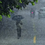 വയനാട്ടില്‍ ഓട്ടോറിക്ഷക്ക് നേരെ കാട്ടാനയുടെ ആക്രമണം; ഡ്രൈവര്‍ക്ക് പരിക്ക്; ഓട്ടോറിക്ഷ പൂര്‍ണ്ണമായും ആന തകര്‍ത്തു