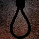 ഉമതോമസും കെ.പ്രമോദും ഡോ. ദിലീപ് കുമാറും വീക്ഷണം ഡയറക്ടര്‍ ബോര്‍ഡില്‍