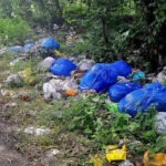 വയനാട്ടില്‍ വീണ്ടും കാട്ടാന ആക്രമണം; യുവാവിന് ഗുരുതര പരിക്ക്