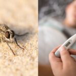 നേപ്പാള്‍ വിമാനാപകടം: 18 പേര്‍ മരിച്ചതായി റിപ്പോര്‍ട്ട്; രക്ഷപ്പെട്ടത് പൈലറ്റ്