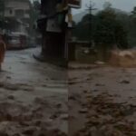 വയനാട് ഉരുൾപൊട്ടലിൽ അഗാധമായ ദുഃഖം അറിയിച്ച് പ്രധാനമന്ത്രി നരേന്ദ്ര മോദി; രക്ഷാപ്രവർത്തനത്തിന് എല്ലാ സഹായവും വാഗ്ദാനം ചെയ്തു