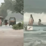 ഗുജറാത്തില്‍ പടര്‍ന്നുപിടിച്ച് ചന്ദിപുര വൈറസ്; കുട്ടികള്‍ ഉള്‍പ്പെടെ 8 പേര്‍ മരിച്ചു; ജാഗ്രത നിര്‍ദേശം