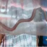 ‘മാപ്പുപറഞ്ഞതില്‍ ആത്മാര്‍ഥതയില്ല’, ആസിഫ് അലിക്ക് ഒപ്പം; പ്രതികരിച്ച് നടന്‍ ധ്യാന്‍ ശ്രീനിവാസന്‍