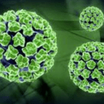 അമീബിക്ക് മസ്തിഷ്‌ക ജ്വരം; മാര്‍ഗരേഖ പുറത്തിറക്കി