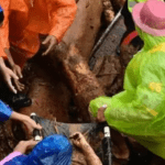 ചാലിയാറില്‍ നിന്ന് മൂന്ന് മൃതദേഹങ്ങള്‍ കൂടി കണ്ടെത്തി; തിരച്ചില്‍ തുടരുന്നു
