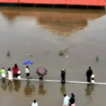 കുളിക്കാനിറങ്ങിയതിനു പിന്നാലെ ജലനിരപ്പ് ഉയര്‍ന്നു; ചിറ്റൂര്‍ പുഴയില്‍ നാലുപേര്‍ കുടുങ്ങി