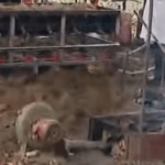 സംസ്ഥാനത്തെ മഴ മുന്നറിയിപ്പിൽ മാറ്റമില്ല;ഇന്നും നാളെയും കൂടി വടക്കൻ ജില്ലകളിൽ അതിശക്തമായ മഴ ഉണ്ടായിരിക്കും