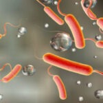 പിലാശ്ശേരിപാലോറമ്മൽ ജിഫിരി (45)അന്തരിച്ചു.