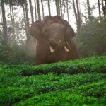 മമത ബാനർജി ഏകാധിപത്യത്തിൻ്റെയും, ക്രൂരതയുടെയും എല്ലാ പരിധികളും ലംഘിച്ചു;പശ്ചിമ ബംഗാളിൽ ബിജെപി പ്രഖ്യാപിച്ച ബന്ദ് തുടരുന്നു