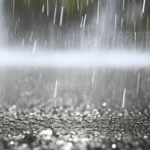 ചാലിയാറില്‍ നിന്ന് തലയോട്ടിയും മറ്റൊരു ശരീരഭാഗവും കണ്ടെത്തി; തിരച്ചില്‍ തുടരും