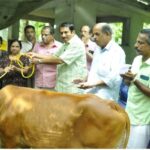 വാളയാറിലെ സഹോദരിമാരുടെ മരണം സംബന്ധിച്ച കേസ് ;എറണാകുളം സിബിഐ കോടതിയിലേക്ക് മാറ്റാൻ ഹൈക്കോടതിയുടെ അനുമതിയായി