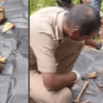 ബ്ലെസിയുടെ കഠിനപ്രയത്നത്തിന്റെ ഫലം; എല്ലാവര്‍ക്കും അവകാശപ്പെട്ട വിജയമാണിത്; പൃഥ്വിരാജ് സുകുമാരന്‍