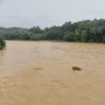 രാഹുല്‍ ഗാന്ധിയും പ്രിയങ്ക ഗാന്ധിയും വയനാട്ടിലെത്തി;ദുരിതാശ്വാസ ക്യാമ്പുകളും ചികിത്സയിലുള്ളവരെയും ഇരുവരും സന്ദർശിക്കും