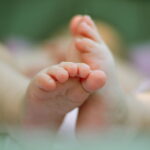 സാങ്കേതിക മികവു പുലര്‍ത്തുന്ന സ്ഥാപനങ്ങള്‍ക്ക് മുന്‍ഗണന കൊടുക്കണം ; അരിയില്‍ അലവി