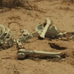 ‘ദേ ഇങ്ങോട്ട് നോക്ക്യേ എന്ന സിനിമ ഷൂട്ടിനിടെ ലൈംഗീകാതിക്രമം നടത്തി’:നടനും സംവിധായകനുമായ ബാലചന്ദ്രമേനോനെതിരെ ലൈംഗീക പീഡന പരാതി